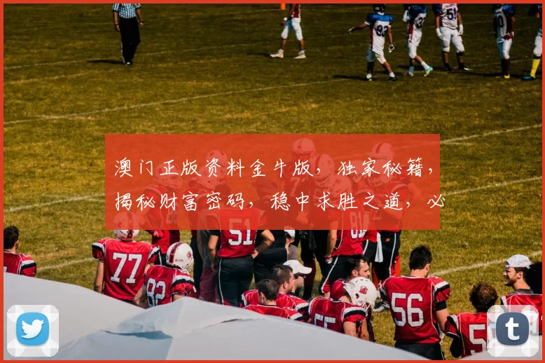 澳门正版资料金牛版，独家秘籍，揭秘财富密码，稳中求胜之道，必看
