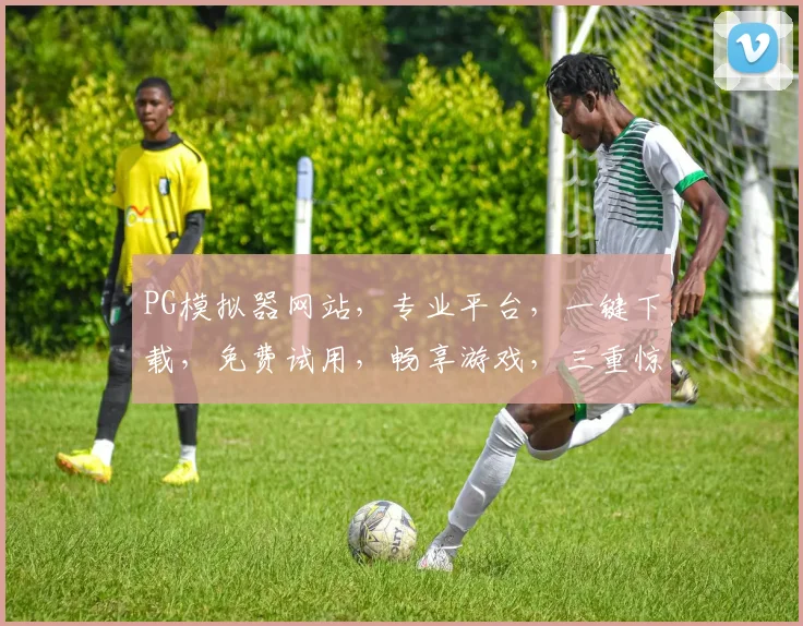 PG模拟器网站，专业平台，一键下载，免费试用，畅享游戏，三重惊喜，不容错过
